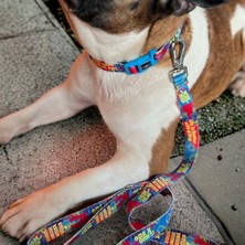 Pawlook Köpek Boyun Tasması, Boyun Tasması, Köpektasması
