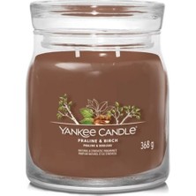 Yankee Candle 1630021E Orta Mum Praline-Birch