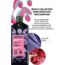 Yves Rocher Boyalı Saçlar Için (Couleur) Turunculaşma Karşıtı Mor Şampuan - Sülfatsız & VEGAN-300 M