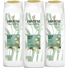 Pantene Uzun ve Güçlü Saçlar Bambu Biyotinli Şampuan 350 ml x 3 Adet
