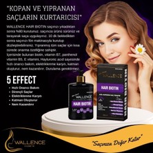 Wallence Haır Biotin