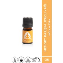 Therapium Naturalis Aromaterapi Memory Karışım Uçucu Yağı 5ml Aroma Terapi Hafıza Yagı