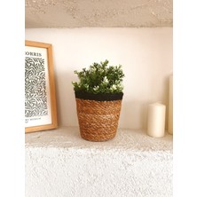 Kai Home Kaihome Hasır Sepet ve Saksılık