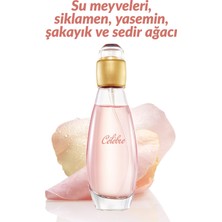 Avon Celebre 50 Ml Kadın Parfüm Edt