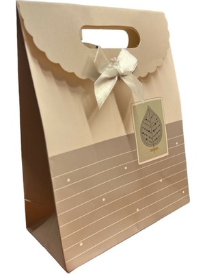 Paket Parti Hediye Paketi 16.5X17.5X8 cm 12'li (206-7)