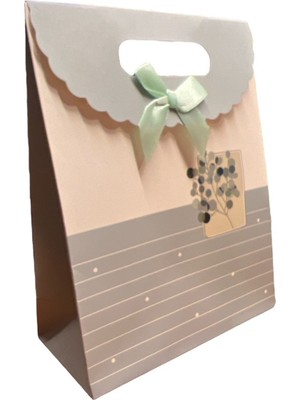 Paket Parti Hediye Paketi 16.5X17.5X8 cm 12'li (206-7)