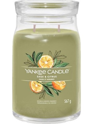 Yankee Candle 1629961E Büyük Mum Sage-Citrus