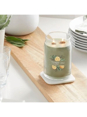 Yankee Candle 1629961E Büyük Mum Sage-Citrus