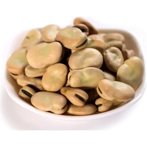 Bitkim Sende Sakız Bakla Tohumu 10 Adet Tohum Dev Tohumlar