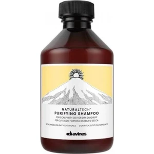 Purifying Yağlı ve Kuru Saçlar Için Kepeğe Karşı Etkili Şampuan ECBEAUTY!W64