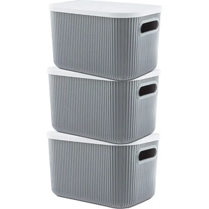 Kapaklı Organizer Kutu 6.2 Lt 3lü Set