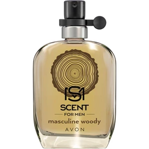 Scent Masculine Woody Erkek Parfümü Edt 30 ml