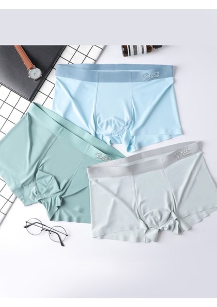 Eces Designdikişsiz Buz Ipek Ter Uzaklaştıran Spor Özel Tasarım Erkek Iç Giyim 3 Parça 1010 Boxer