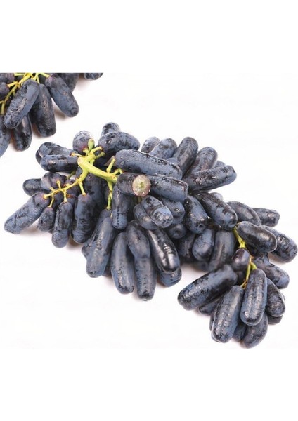 Tüplü Çekirdeksiz Finger Black Üzüm Fidanı (5 Adet)