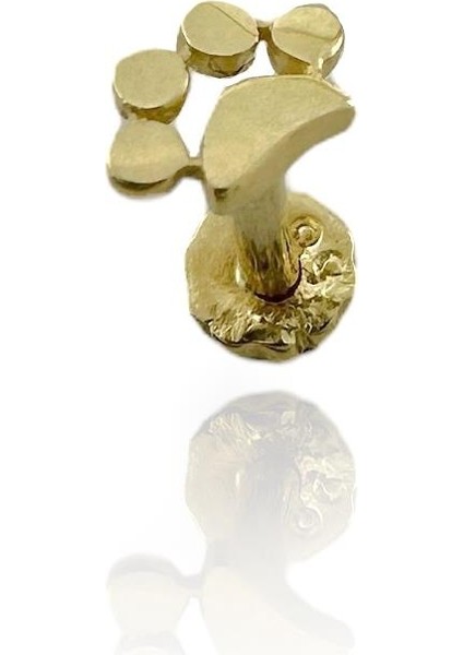 Minik Pati Tragus Küpe 14 Ayar Altın