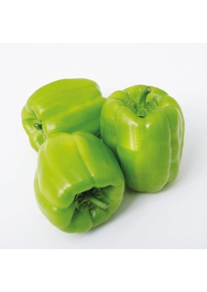 Dolmalık Biber Tohumu 20 Adet Tohum