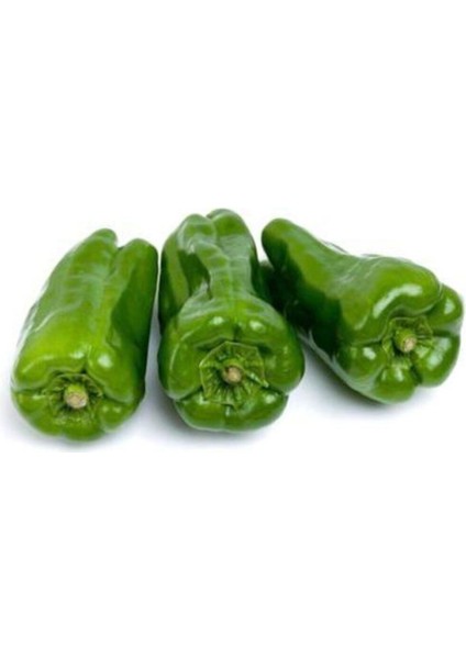 Meşhur Üç Burun Mazamort Biber Tohumu 25 Adet Tohum modelleri