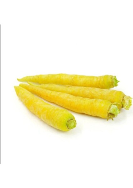 Eko Paket 50 Adet Tohum Nadir Ithal Sarı Havuç Tohumu fiyatları