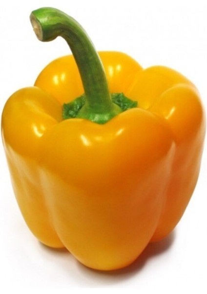 Ithal Nadir Dev Sarı Dolmalık Biber Tohumu 5 Adet Tohum