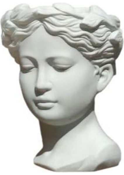 Toz Pembe Telgraf Çiçeği Kadınlar Gününe Özel Helen Saksı Hediyeli Bitki