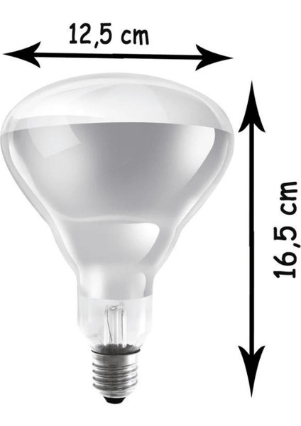 Ledvance 250W Şeffaf Infrared Isıtıcılı E27 Duylu Halojen Ampul (8 Adet)