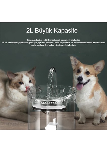 Akıllı Sesiz Kedi Köpek Sessiz Şeffaf Otomatik Pet Su Pınarı Çeşmesi Sebili