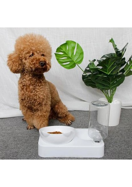 S Tarzı Pet Kase Otomatik Besleyici Köpek Kedi Maması Kase Su Sebili ile Çift Köpek Içme Kase Kedi Çanak Kaseler Pet Köpek Maması Kase (Yurt Dışından) modelleri