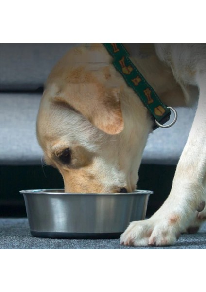 Siyah Stil M-20KG Evcil Hayvanlar Kişiselleştirilmiş Pet Isimleri Pet Besleme Köpek Kase Paslanmaz Stee Köpek Kediler Için Kaymaz Içme Suyu Gıda Besleyici Pet Malzemeleri (Yurt Dışından) fırsatları