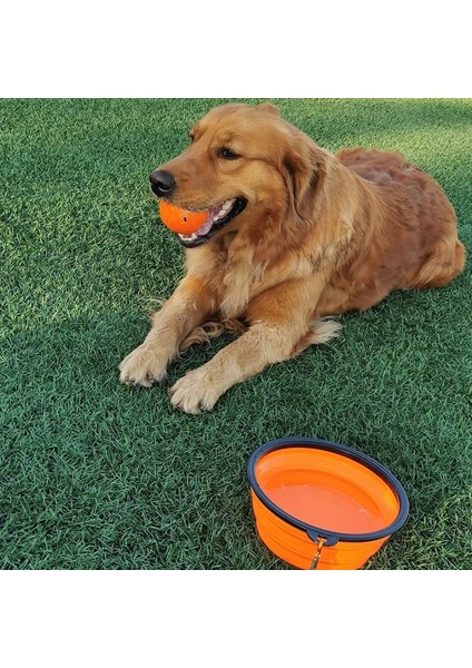 A6 Stili Seyahat Için Katlanabilir Köpek Kaseleri Köpekler Için Taşınabilir Su Kasesi Seyahat Için Yemek Kamp Yürüyüş Köpek Maması Konteyneri (Yurt Dışından) indirimleri