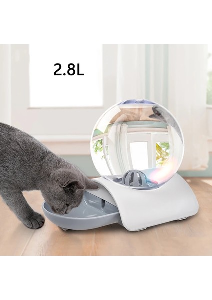 Mavi Stil 29X18X23CM Pet Su Sebili Kedi Içme Çeşmesi Otomatik Kabarcık Besleyici Köpek Waterer Kediler Büyük Yerçekimi Kaseler ve Suluklar 2.8l (Yurt Dışından) fiyatları