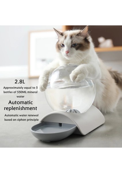 Mavi Stil 29X18X23CM Pet Su Sebili Kedi Içme Çeşmesi Otomatik Kabarcık Besleyici Köpek Waterer Kediler Büyük Yerçekimi Kaseler ve Suluklar 2.8l (Yurt Dışından) fırsatları