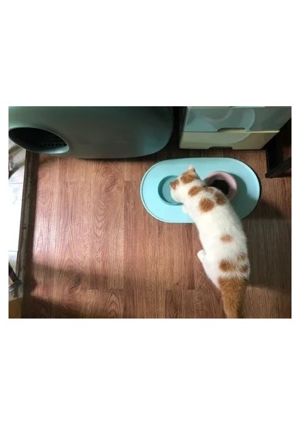 Sadece Blue Pad Stili Makesure Obur Kedi Besleme Kasesi Omurgayı Korumak Için Seramik Kedi Mama Kasesi Devrilmeyi Önlemek Için Raflı Kedi Kasesi Seti (Yurt Dışından)