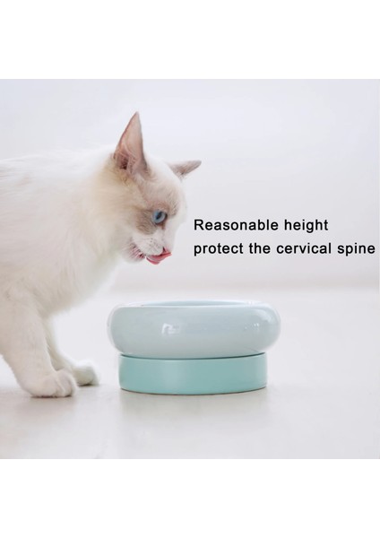 Sadece Blue Pad Stili Makesure Obur Kedi Besleme Kasesi Omurgayı Korumak Için Seramik Kedi Mama Kasesi Devrilmeyi Önlemek Için Raflı Kedi Kasesi Seti (Yurt Dışından) fırsatları