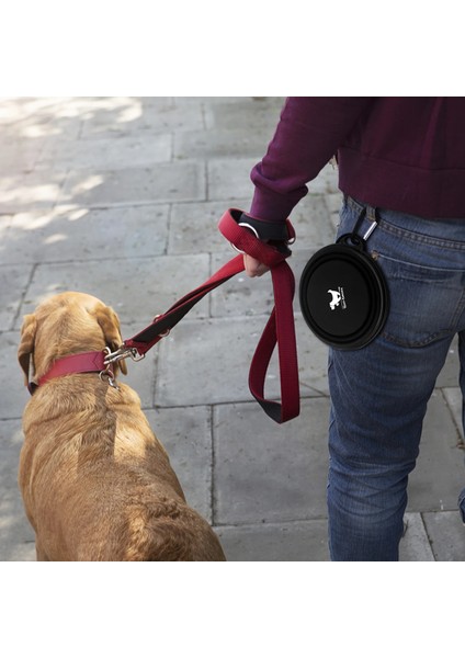 Mavi Stil 350ML Katlanabilir Pet Silikon Köpek Maması Su Kasesi Açık Kamp Seyahat Karabina ile Taşınabilir Katlanır Pet Kase Yemekleri Pet Ürünleri (Yurt Dışından) indirimleri