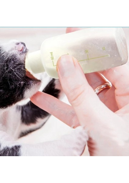 1 Takım Yavru Yavru Biberon Seti Pet Köpek Kedi Bady Hemşirelik Su Süt Besleyici Temizleme Fırçası ile Yenidoğan Kedi Içme Şişesi (Yurt Dışından)