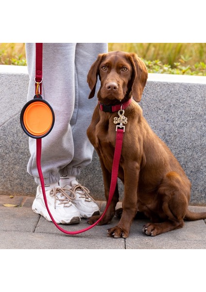 Sarı Stil 1000ML 17.5X7CM ml Pet Katlanır Silikon Kase Büyük Katlanabilir Açık Seyahat Taşınabilir Köpek Mama Kabı Besleyici Çanak Kase (Yurt Dışından) indirimleri