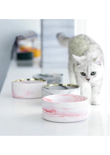 1 Adet Gri Tarzı 850ML Kedi Köpek Ebru Seramik Çift Kase Köpek Kedi Yavrusu Su Gıda Içme Besleyici Küçük Hayvan Dispenseri Işlevli Pet Ürün (Yurt Dışından) modelleri