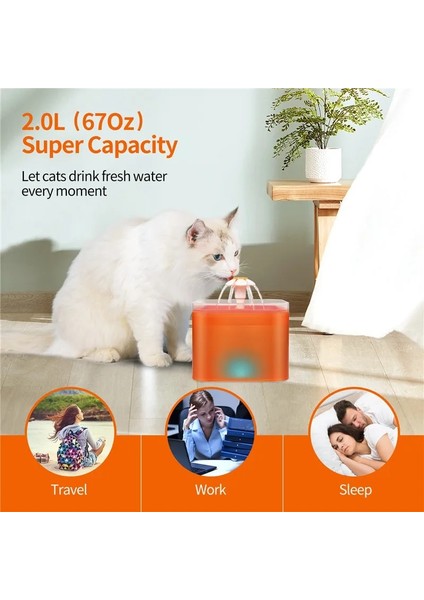 Yeşil Stil LED Işık Kedi Su Çeşmesi Dispenseri 2l Konteyner Elektrikli Pet Waterer Otomatik Pet Suluk Köpekler Için Yavru Kedi (Yurt Dışından) indirimleri
