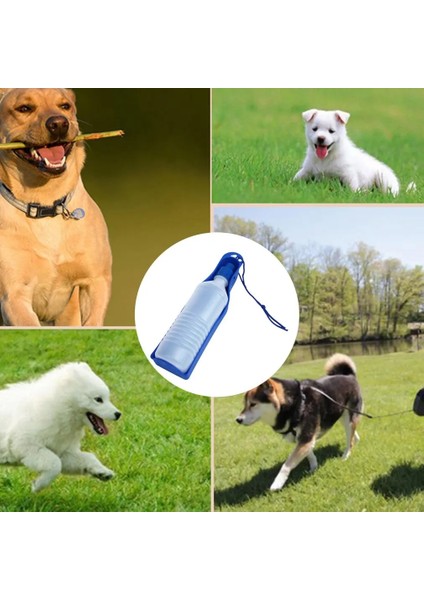 Sarı Stil 500ML Yeni ml Köpek Seyahat Sporları Sızdırmaz Su Şişesi Açık Yem Içme Şişesi 500ML Pet Tedarik Taşınabilir Köpek Aksesuarları (Yurt Dışından) modelleri