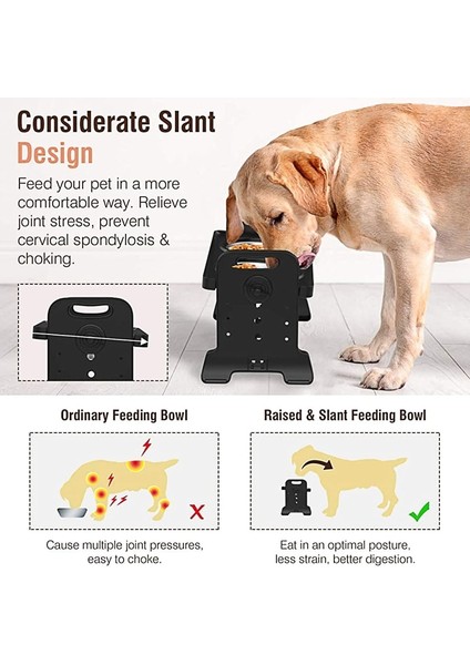 Büyük Stil Kaymaz Yükseltilmiş Çift Köpek Çanak Ayarlanabilir Yükseklik Paslanmaz Çelik Köpek Kase Katlanabilir Köpek Kase Evcil Hayvan Besleme Çanak Pet Supplie (Yurt Dışından) indirimleri