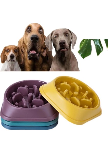 Açık Mavi Tarzı Evcil Hayvan Köpek Besleme Mama Kaseleri Köpek Yavaş Besleme Kasesi Yavaş Besleme Köpek Yavrusu Yavaşlatma Yeme Besleme Çanak Kasesi Obeziteyi Önler (Yurt Dışından) fiyatları