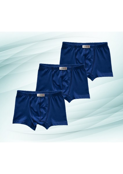 3'lü Erkek Çocuk Boxer ( 3 Adet Saks Mavi ) fiyatları