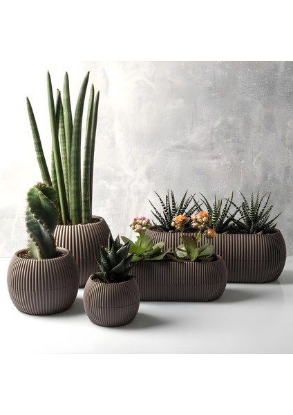 5 Parça Mercan Saksı Seti 5 Adet Plastik Kaktüs Sukulent Saksısı