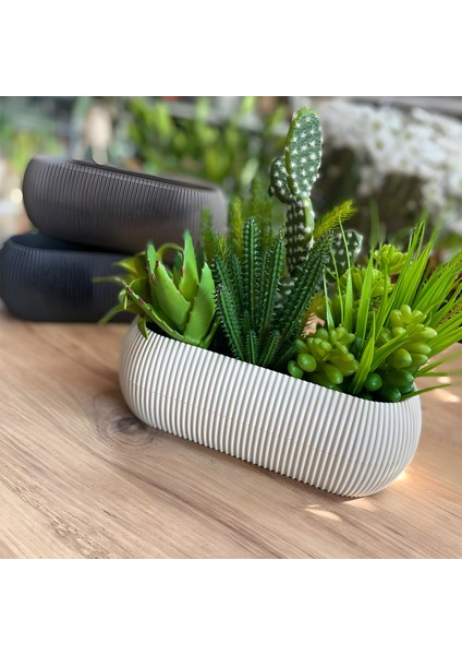 5 Parça Mercan Saksı Seti 5 Adet Plastik Kaktüs Sukulent Saksısı indirimleri