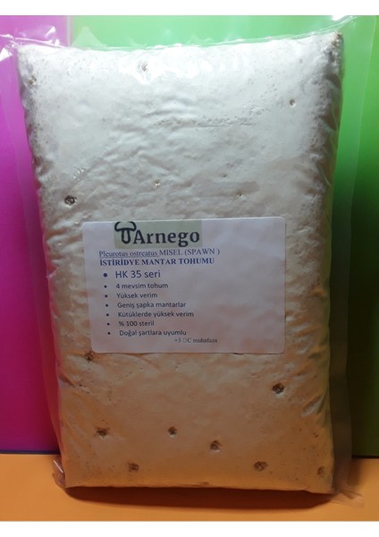 Istiridye Mantar Tohumu 1 kg (Ekim Mikro Delikli Siyah Poşet Hediye )