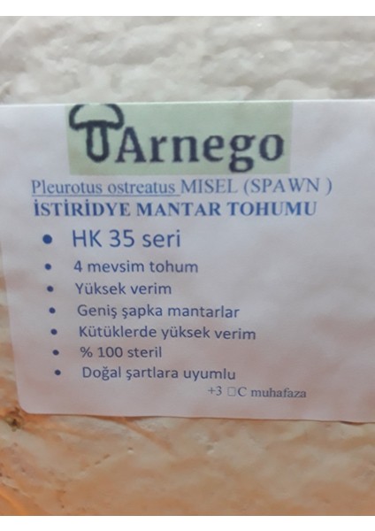 Istiridye Mantar Tohumu 1 kg (Ekim Mikro Delikli Siyah Poşet Hediye )