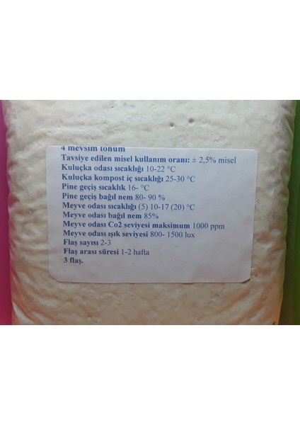 Istiridye Mantar Tohumu 1 kg (Ekim Mikro Delikli Siyah Poşet Hediye )
