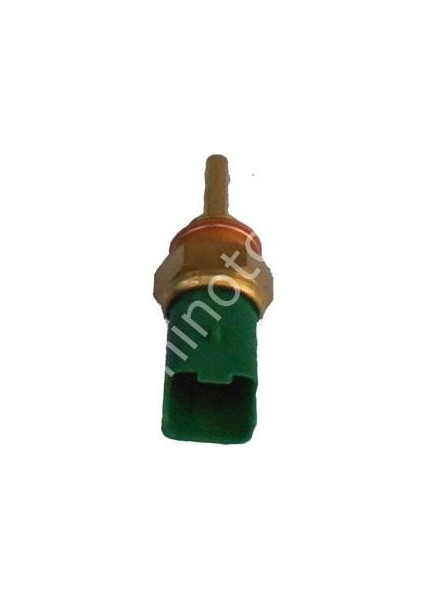 Müşür Hararet Palıo 46554621