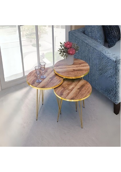 Zigon Sehpa Gold Ceviz Tel 1099 fiyatları