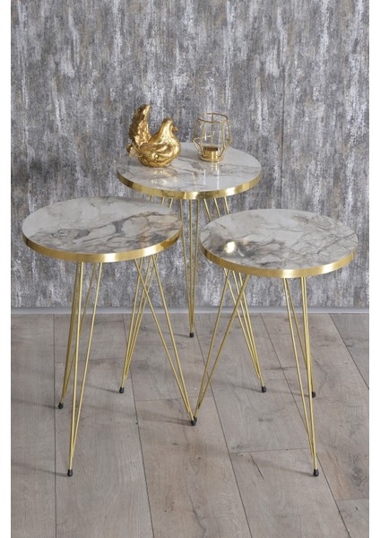 Zigon Sehpa Gold Efes Tel 1043 fiyatları